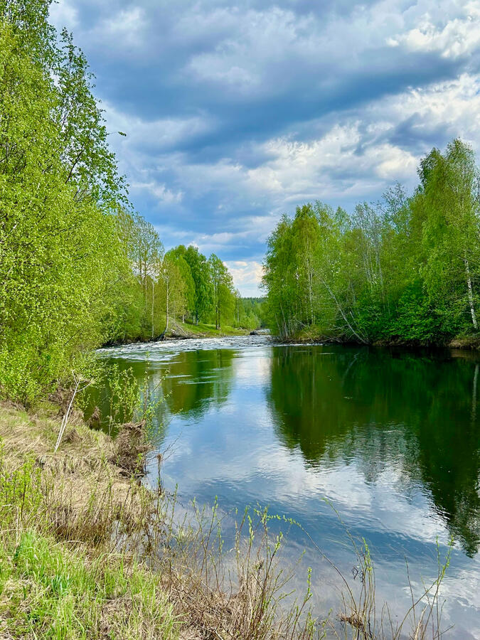 Älven Älven