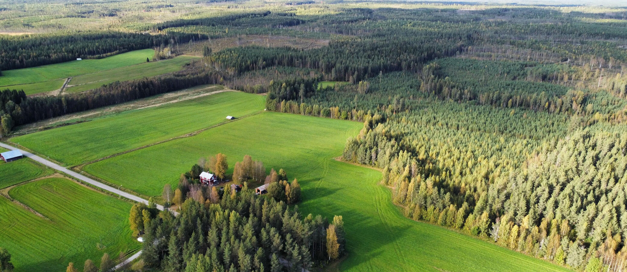 Flygbild