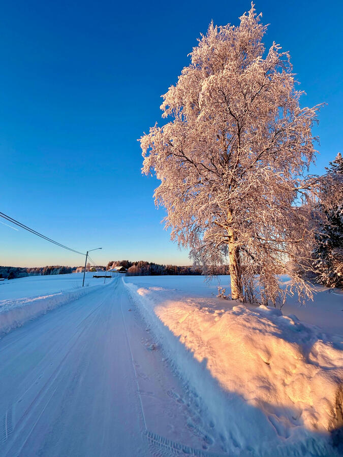Vinter