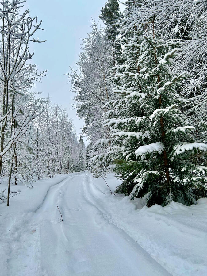 Vinter