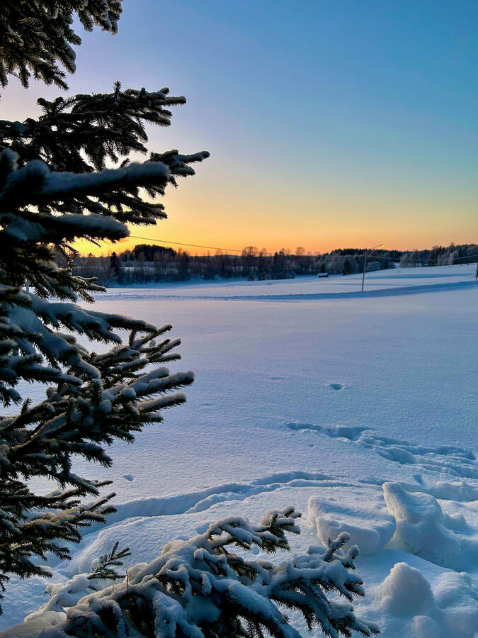 Vinter